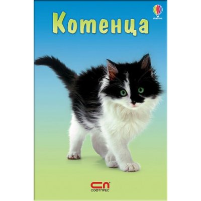Котенца