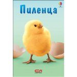 Пиленца