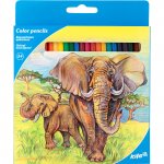 Цветни моливи Kite Elephant 24 цвята