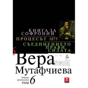 Книга за Софроний/Процесът 1873/Съединението прави силата, том 6